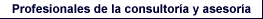 Profesionales de la consultora y asesora
